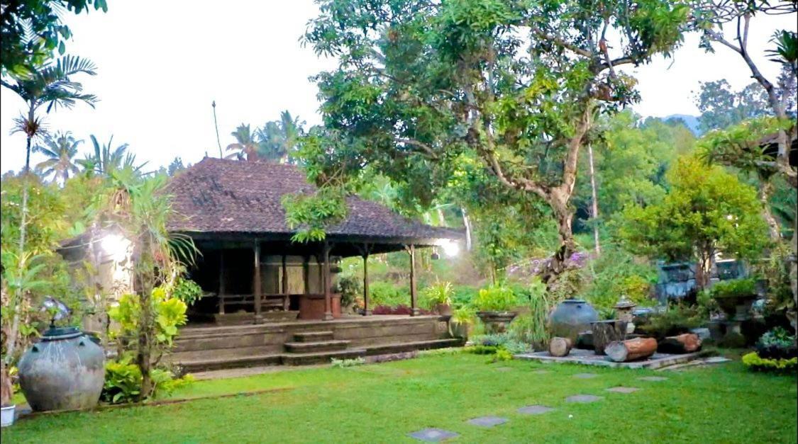 Mesari Cottage Guest House Pabean Buleleng Exteriör bild